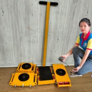 Hình ảnh rùa tải hàng và nhân viên Hưng Việt
